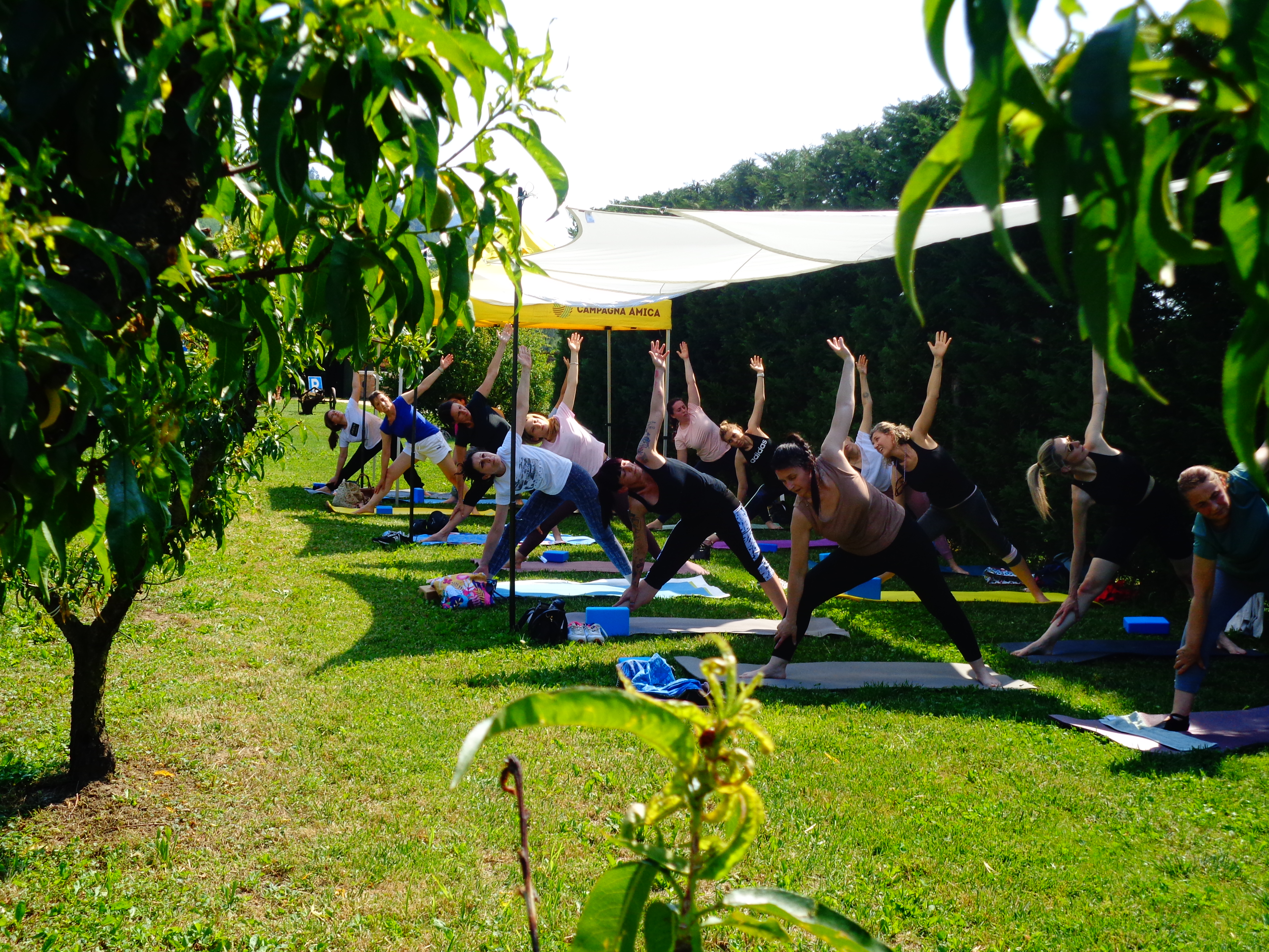 Yoga in Calina — momento 1